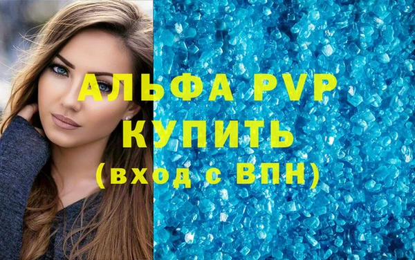 СК Алексин