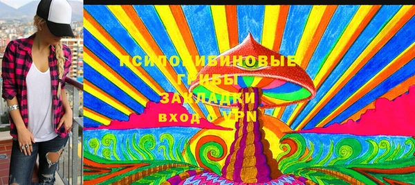 СК Алексин