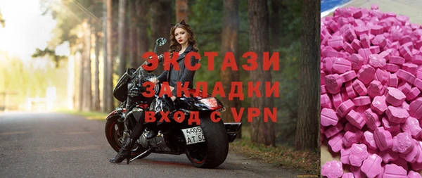 СК Алексин