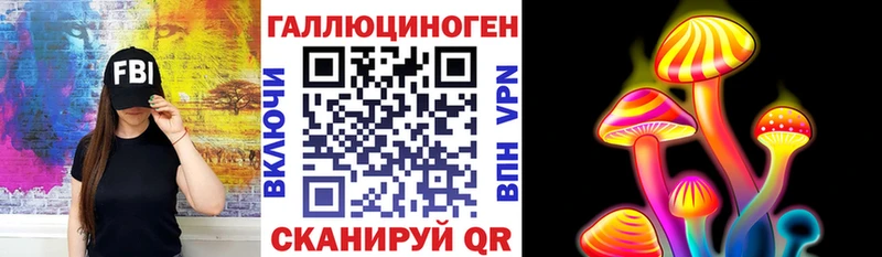 Псилоцибиновые грибы Psilocybine cubensis  купить   Аша 